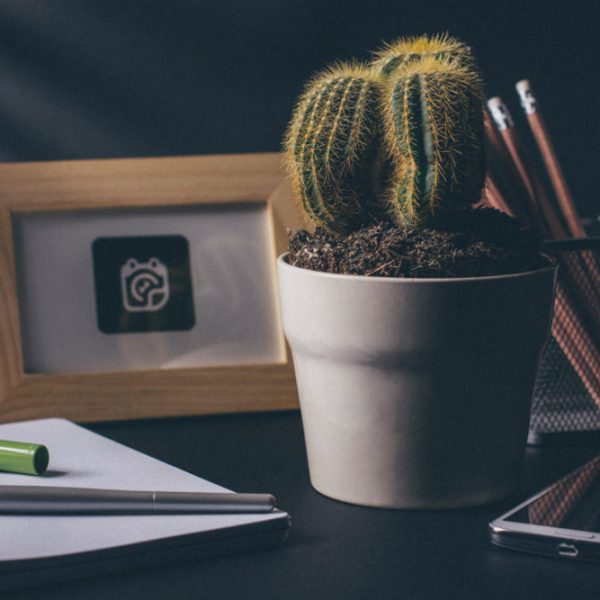 Various items on a desk - plant, photo frame, pencils, cell phone, notebook, pen