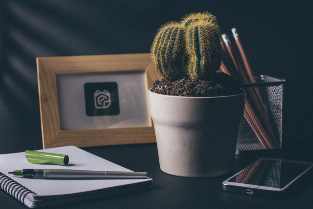 Various items on a desk - plant, photo frame, pencils, cell phone, notebook, pen