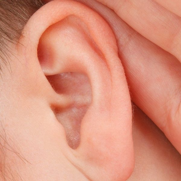 close up of an ear