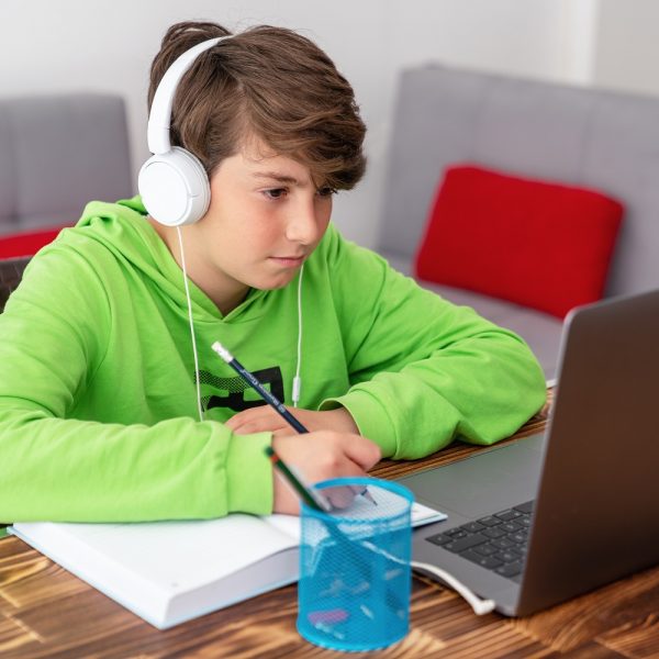 child using a laptop, hearing headphones