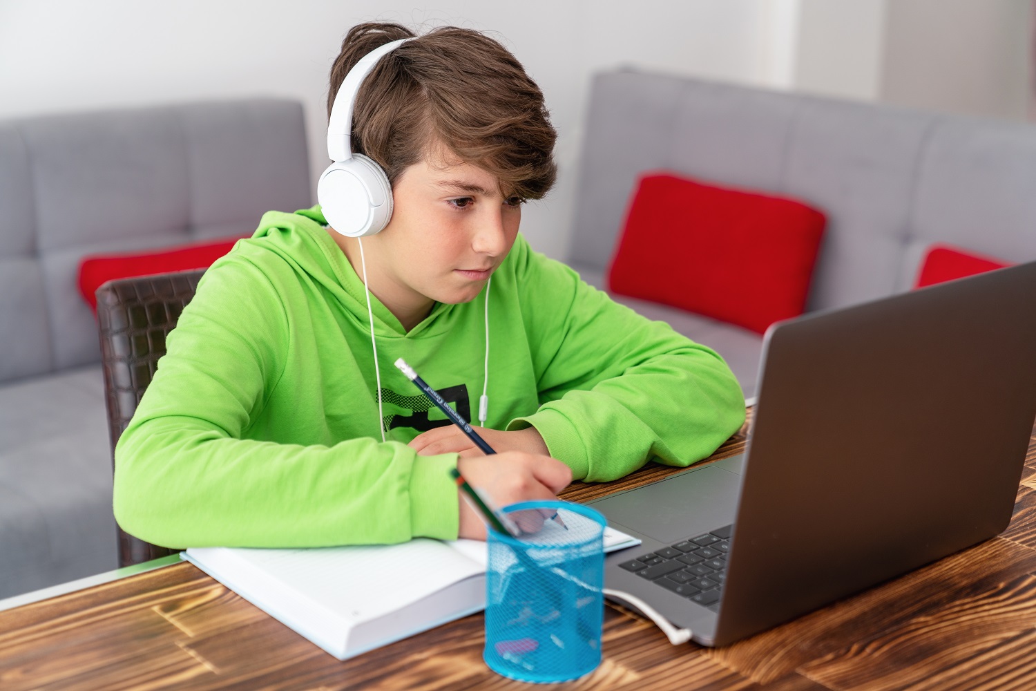 child using a laptop, hearing headphones