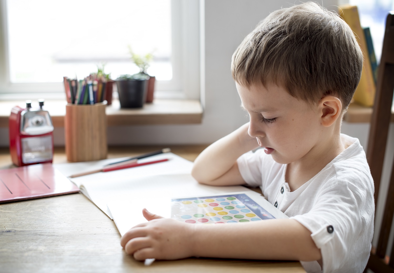 a young boy reading a book