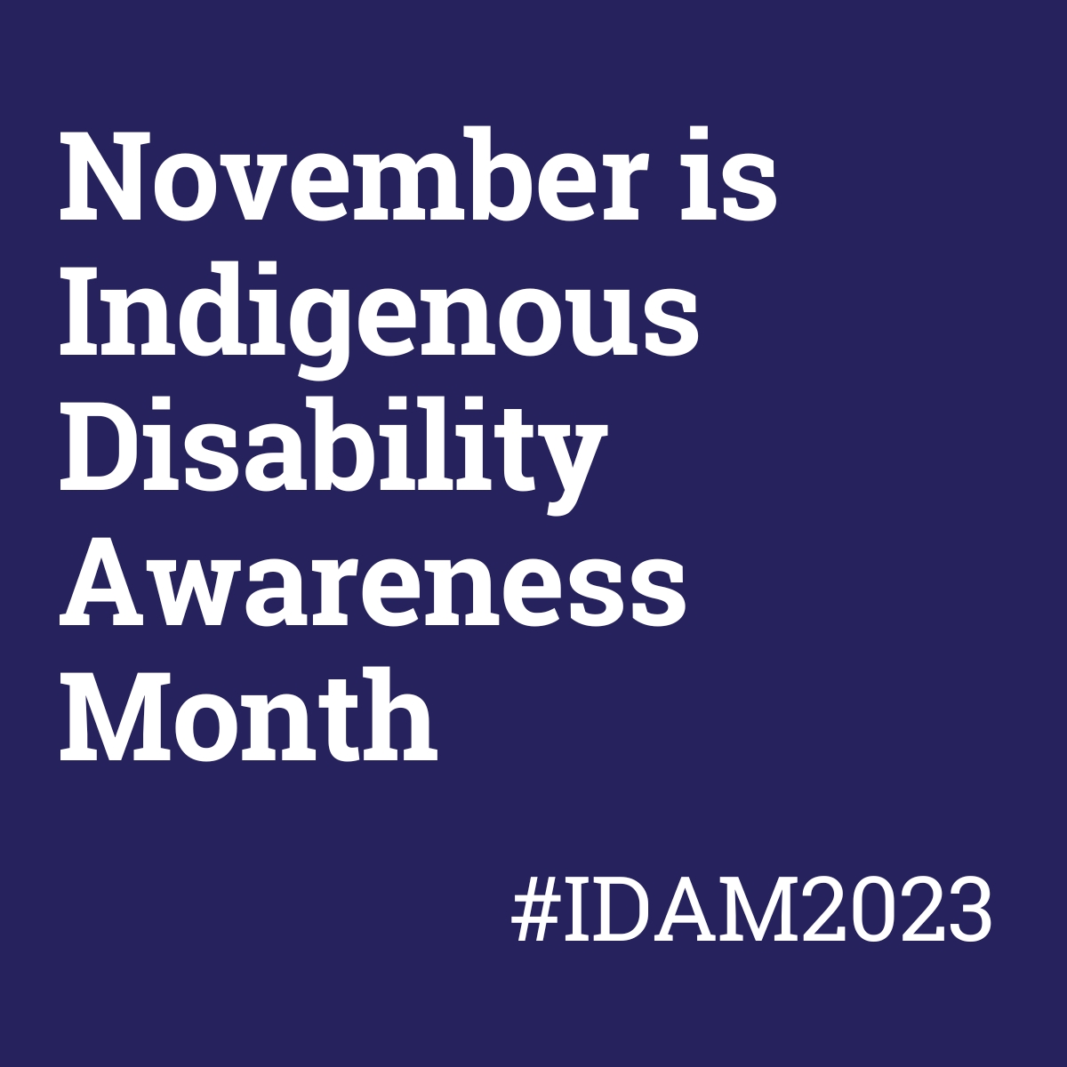 Text: November is Indigenous Disability Awareness Month #IDAM2023