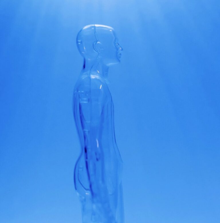 Artificial Intelligence as Assistive Technology